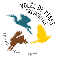 Volée de Piafs – Trisk'ailes